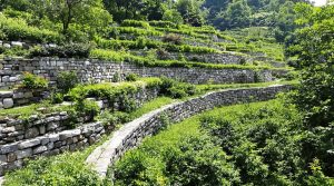 grant mn retaining walls