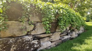 hastings mn retaining walls