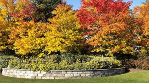 maple plain retaining walls