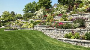 norwood young america walls