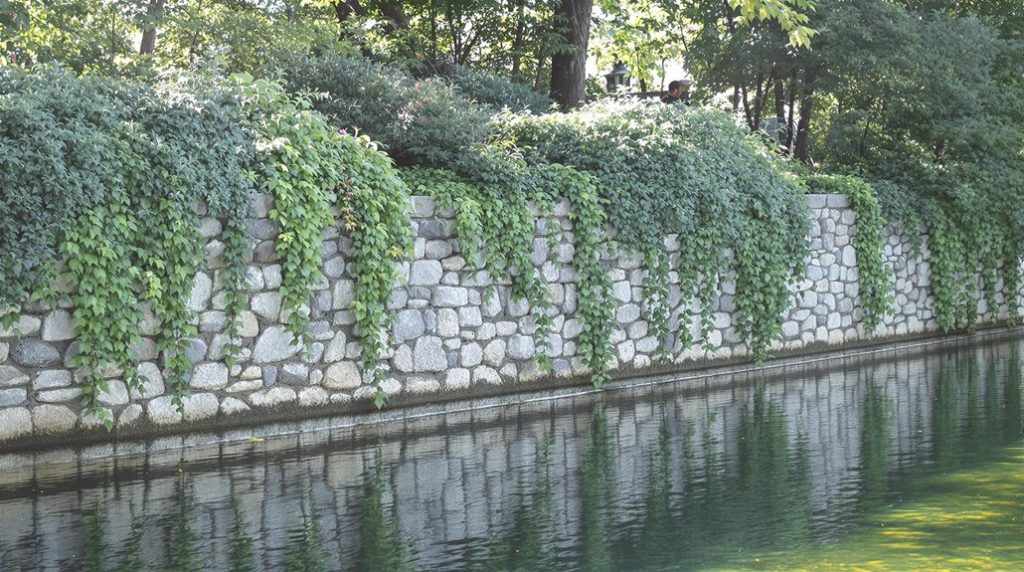 retaining walls in prior lake